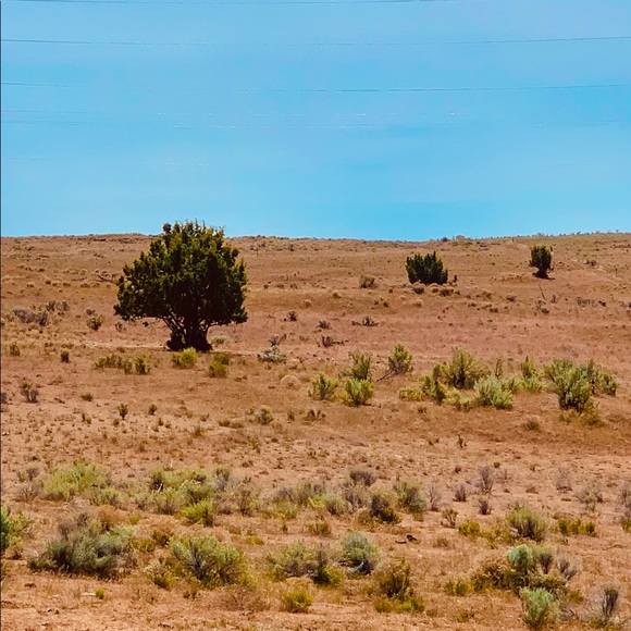 Sharing Oregon 🧡 - Picture 14 of 16